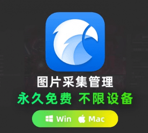 价值199元&mdash;Eagle绿色永久解锁版，电脑上最好的图片素材整理软件