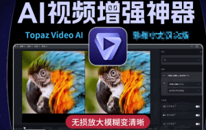 Topaz Video AI特殊版(视频修复软件) &mdash;&mdash;人工智能视频增强软件