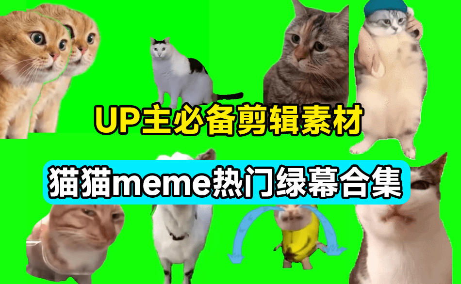 20240517133635774-1715924192190