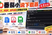 番茄小说下载器，TXT、PDF、EPUB三种格式可选，做小说推文、AI短剧、漫剧人员必备！